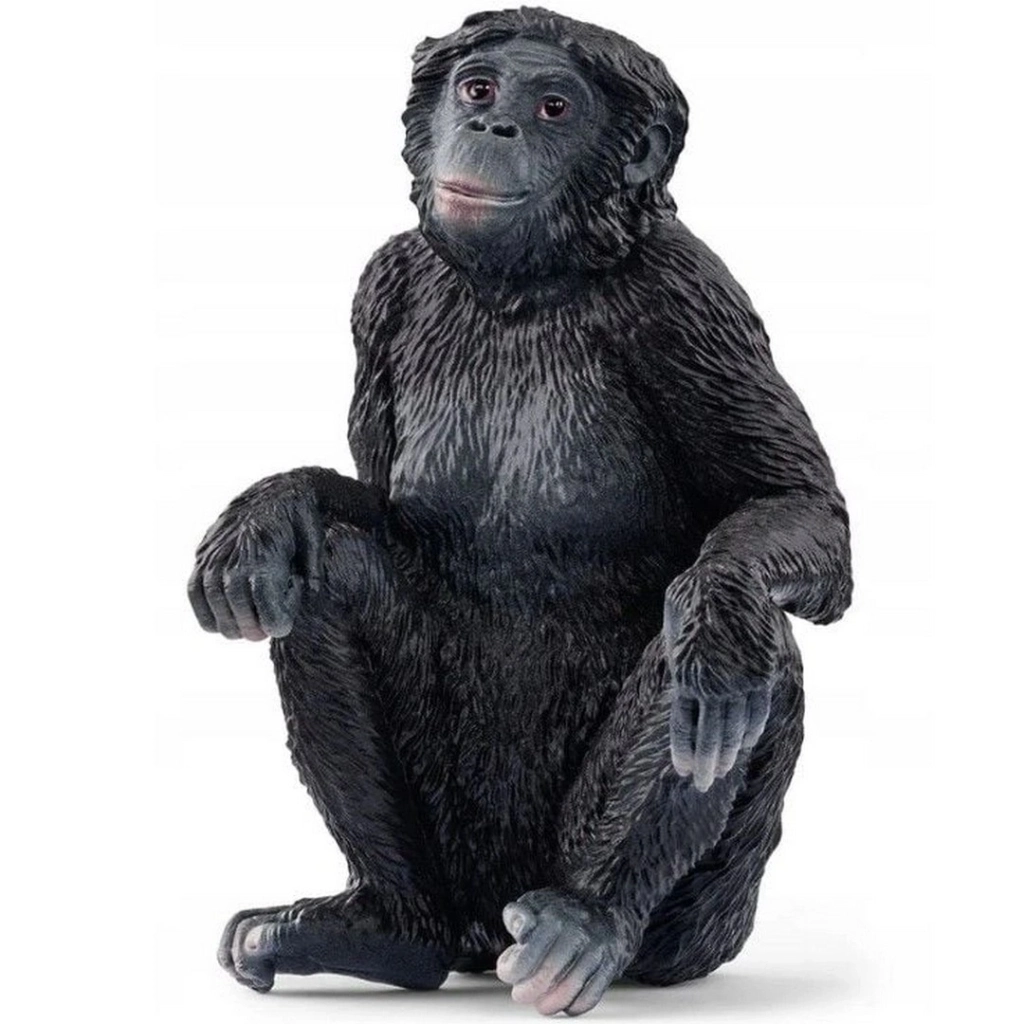 1 Adet Fiyatı ile Kaliteli Ürün (Bonobo Model)