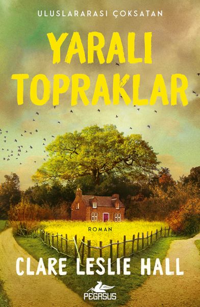 Yaralı Topraklar