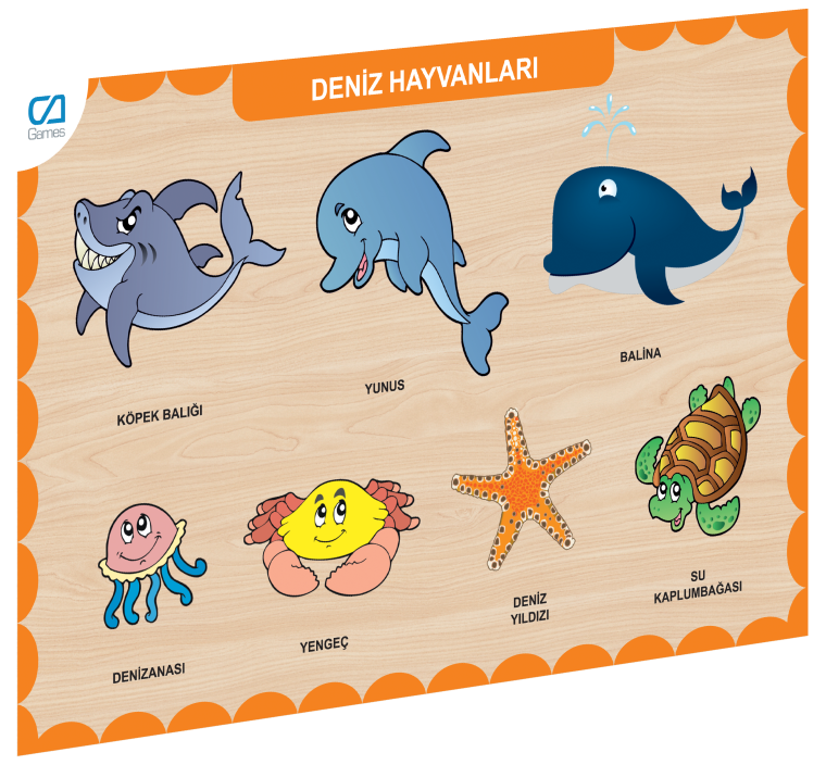 CAAHS-3212 Ca Games Ahşap Deniz Hayvanları Bul-tak