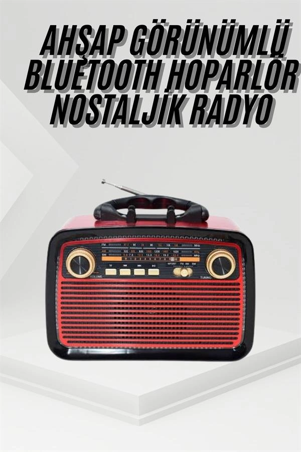 Kablosuz Bluetooth Hoparlör USB ve SD Kart Girişli Taşınabilir