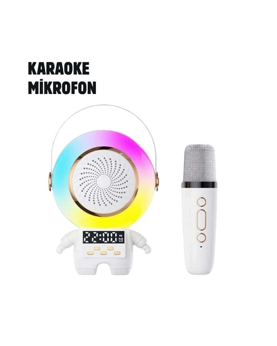 TK-66 Karaoke Speaker