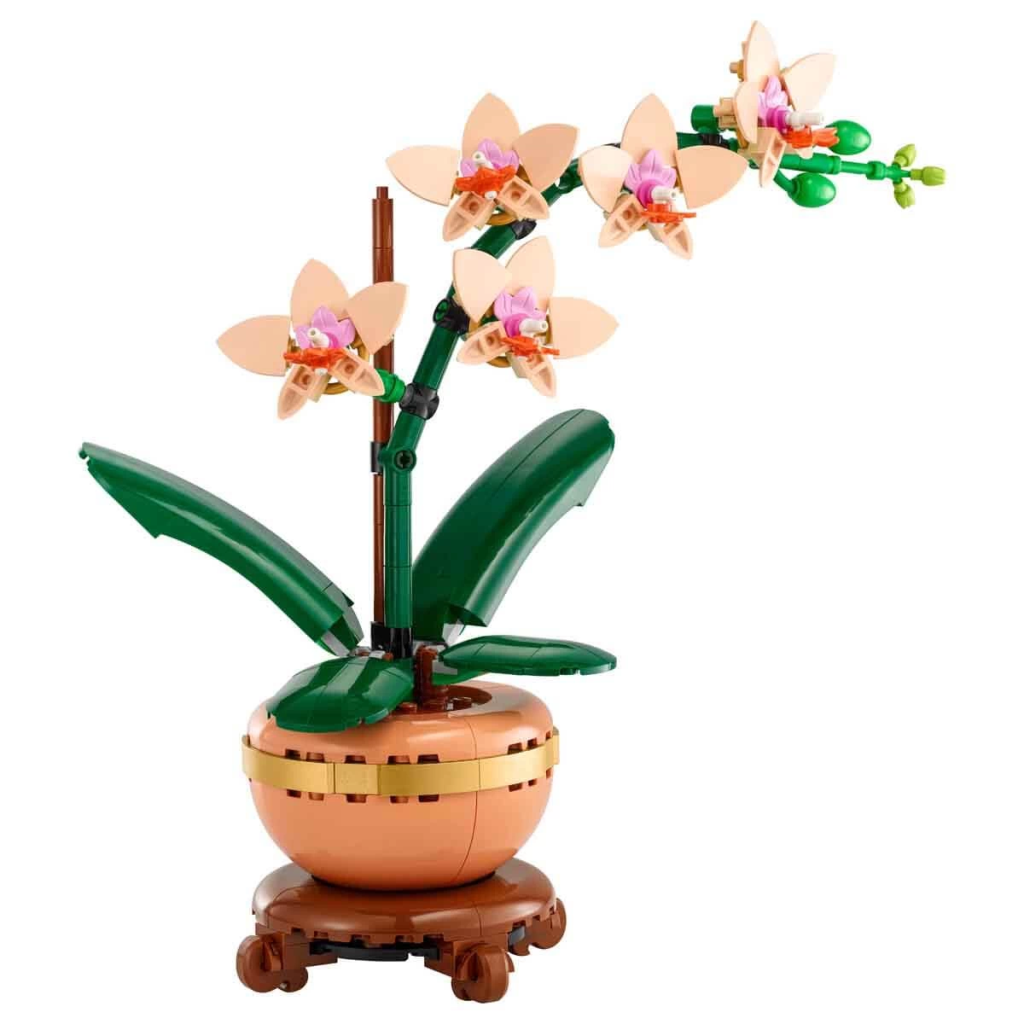Botanicals Mini Orkide 10343
