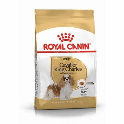 Cavalier King Charles Adult Yetişkin Köpek Maması 3 Kg