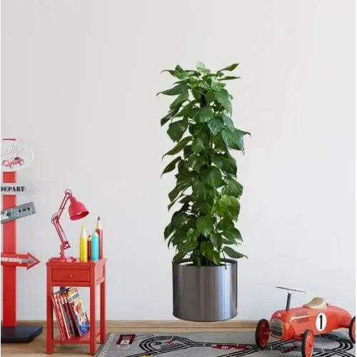Modern Saksılı Bitki Yapışkanlı Sticker 90x30 cm