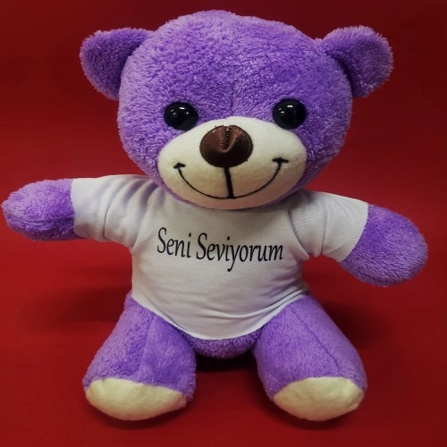 Sevgiliye Özel Tişörtlü Peluş 25 cm