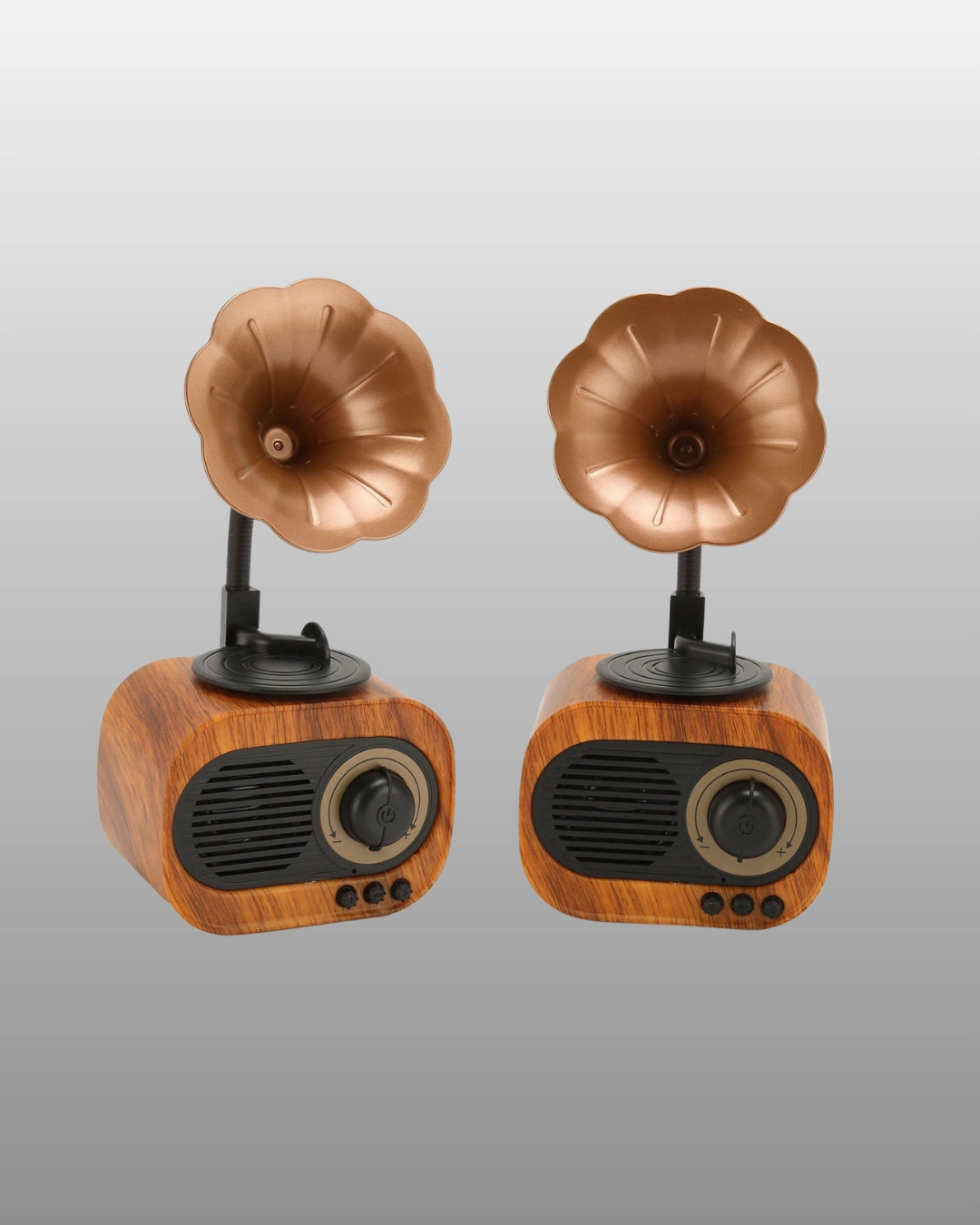 Mini Bluetooth Hoparlör ve FM Radyo Retro Tasarım 5W