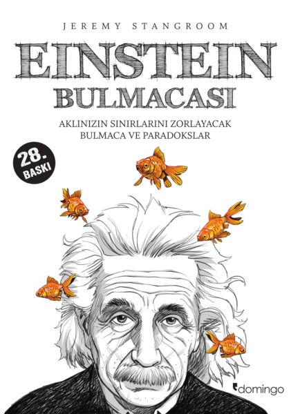 Einstein Bulmacası  Aklınızın Sınırlarını Zorlayacak Bulmaca ve Paradokslar