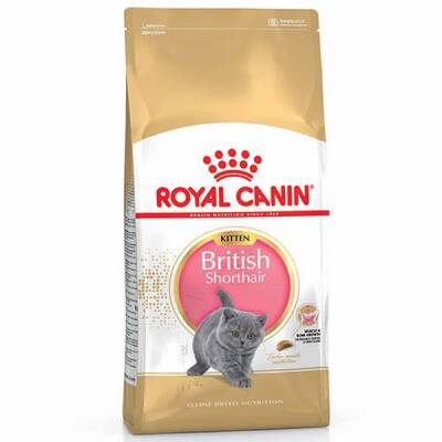 British Shorthair Kitten Yavru Kedi Maması 2 Kg