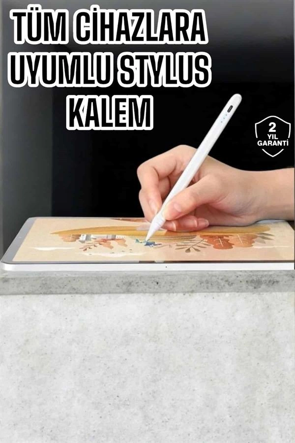 Şarjlı Dokunmatik Kalem Yedek Uçlu Android ve iOS Uyumlu
