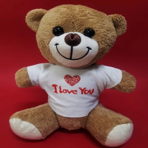 Sevimli Tişörtlü Peluş 25 cm Romantik Hediye