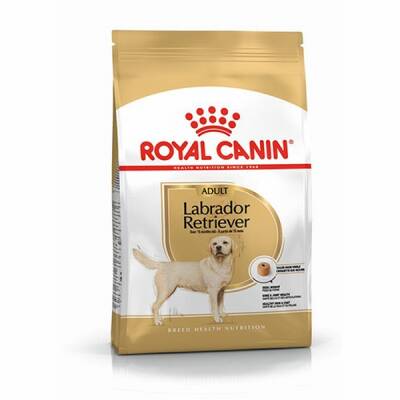 Labrador Retriever Adult Yetişkin Köpek Maması 12 Kg