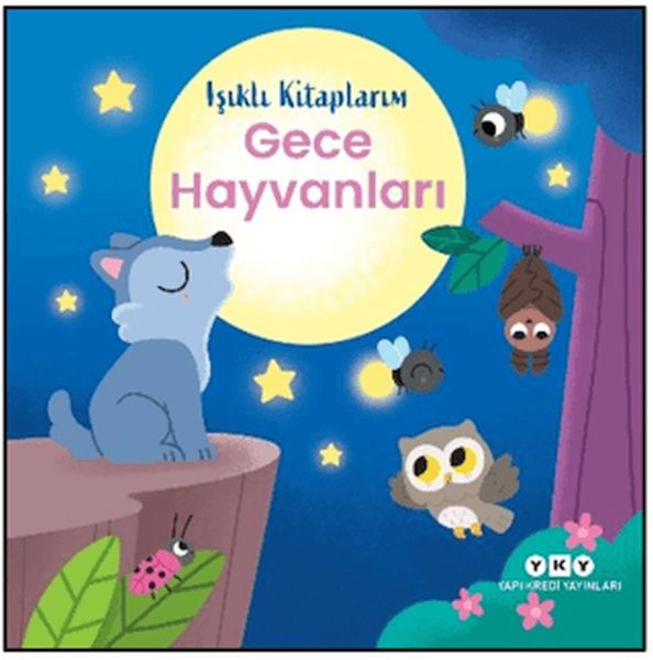 Işıklı Kitaplarım Gece Hayvanları