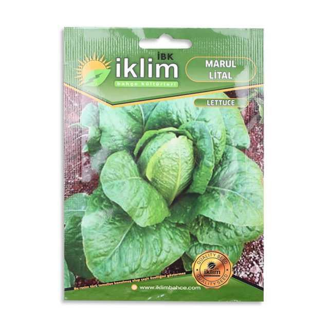 Tohum Marul Lıtal 5gr 1 Adet