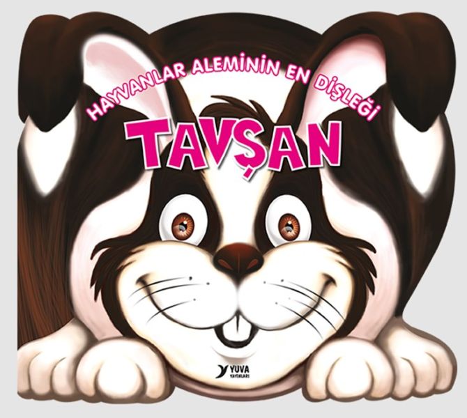 Hayvanlar Aleminin En Dişleği  Tavşan