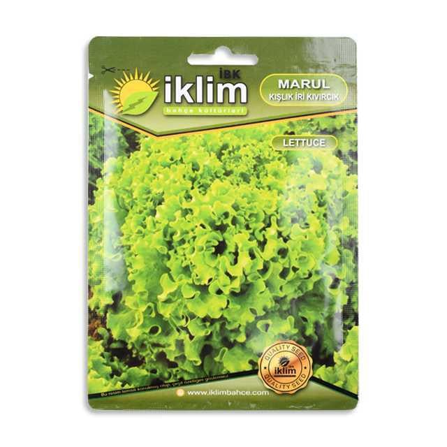 Tohum Marul Kışlık İri Kıvırcık 5GR 1 Adet