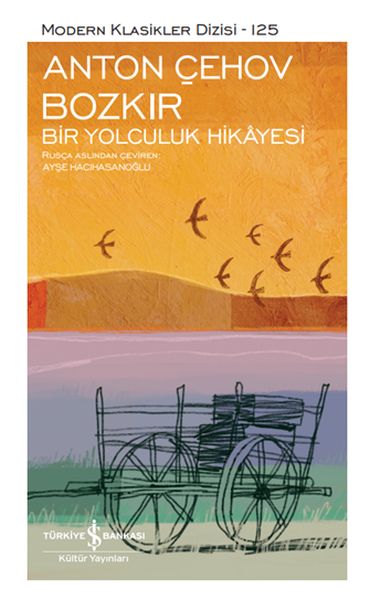 Bozkır Bir Yolculuk Hikayesi - Modern Klasikler Dizisi (Şömizli)